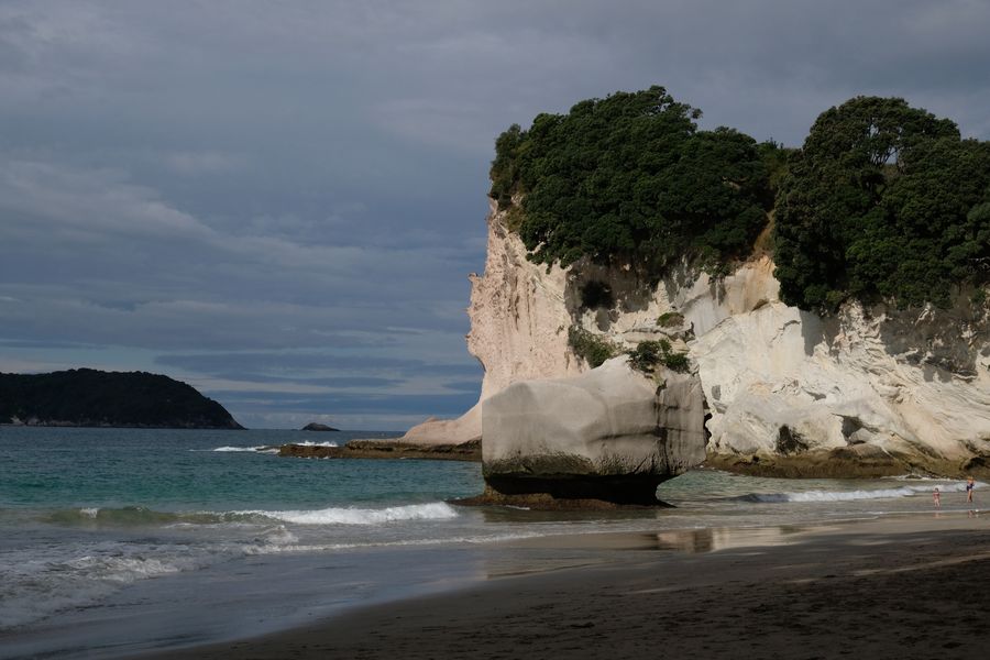 De Waitomo à Auckland : Grottes et plage pour un retour en ville en douceur